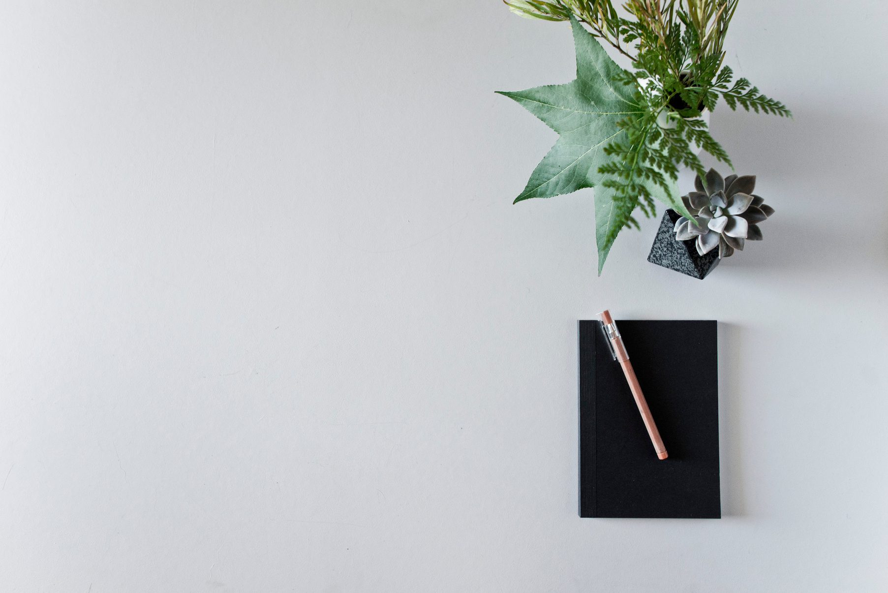 Grey desk scene with plant